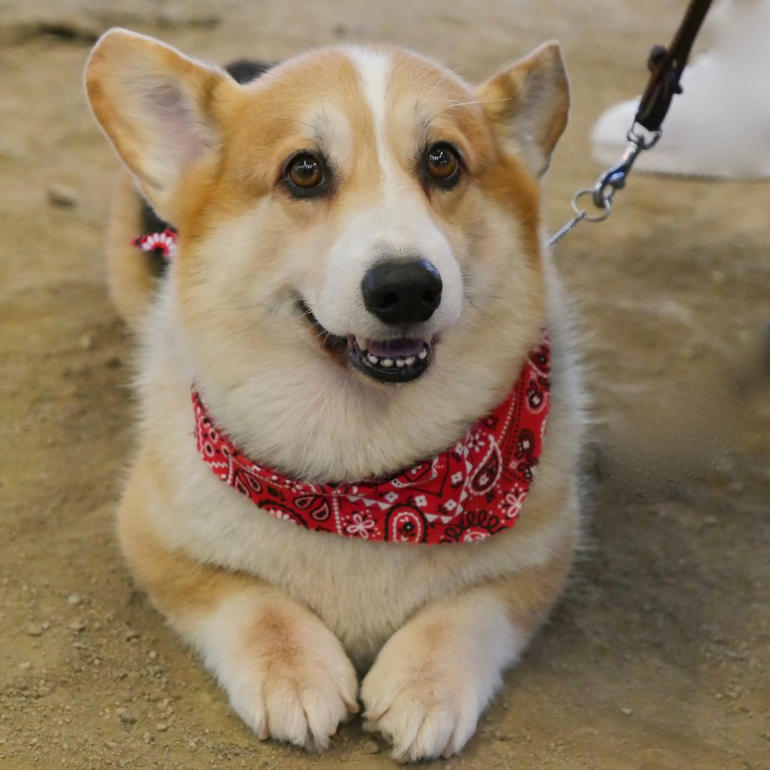 Curbicus tweet media