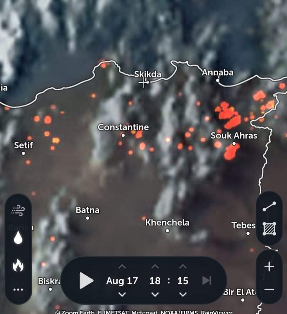 TheZokerTV's tweet photo. Plusieurs #feux de forêt touchent actuellement des #villes du nord Est de l’#Algérie, selon la protection civile qui a fait état de plusieurs #blessés dans les villes de #SoukAhras, #Sétif #Taref et d'autres.
ربي يرحم لي ماتو و يشفي الذين أصيبو 🙏 َ ربي يحفظ من يحاربون النيران. https://t.co/nuPJQmSNzy