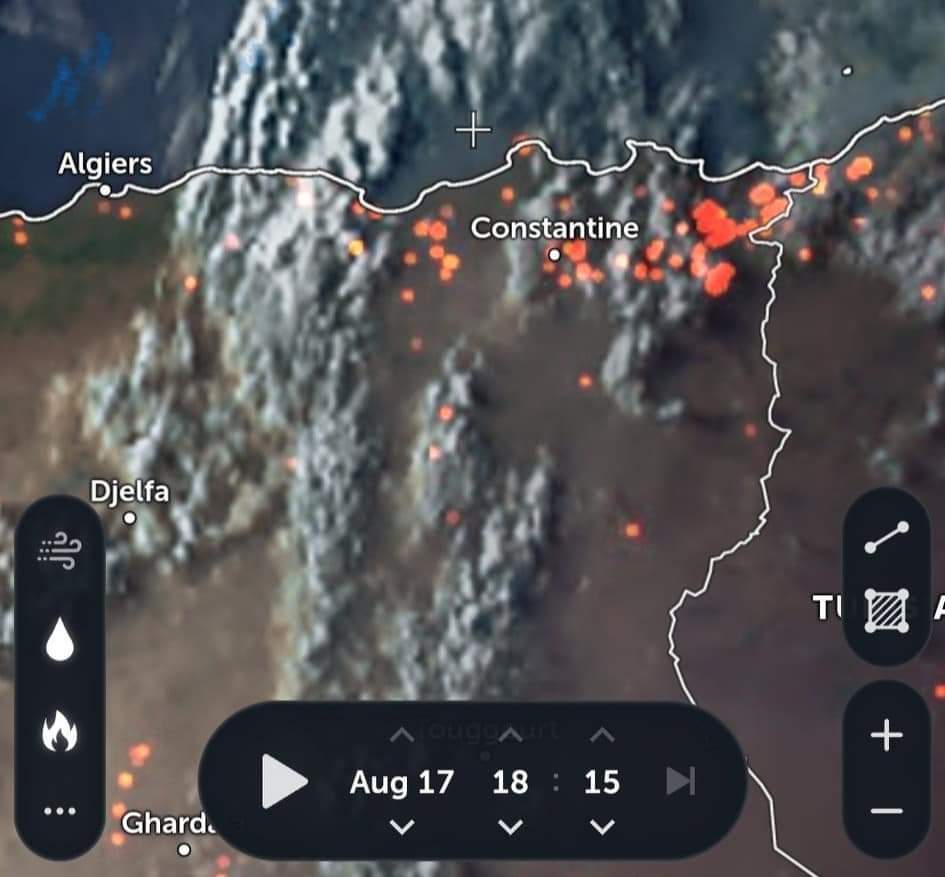 TheZokerTV's tweet photo. Plusieurs #feux de forêt touchent actuellement des #villes du nord Est de l’#Algérie, selon la protection civile qui a fait état de plusieurs #blessés dans les villes de #SoukAhras, #Sétif #Taref et d'autres.
ربي يرحم لي ماتو و يشفي الذين أصيبو 🙏 َ ربي يحفظ من يحاربون النيران. https://t.co/nuPJQmSNzy