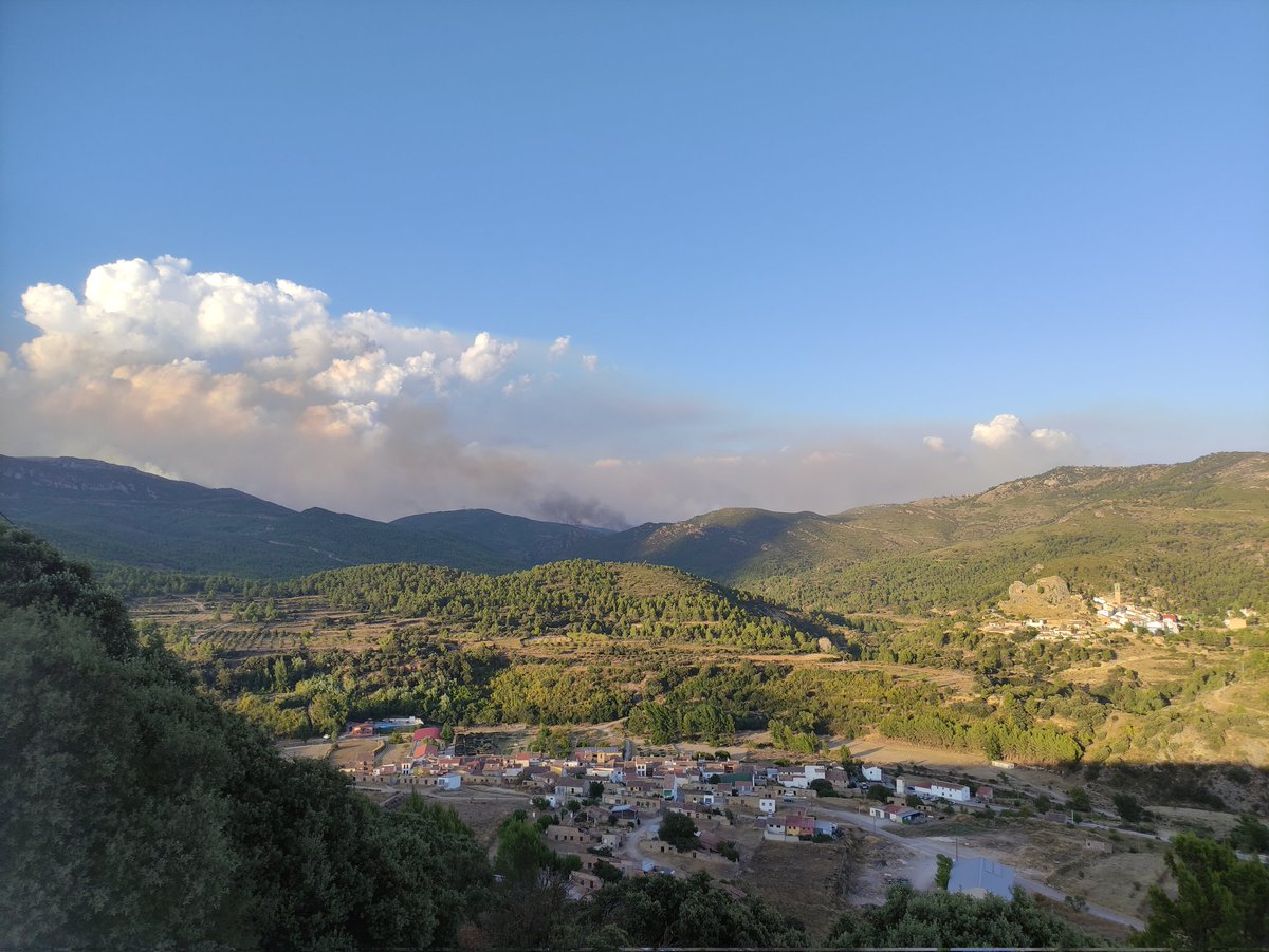 Arde término #andilla por #IFBejis desde #lapobleta