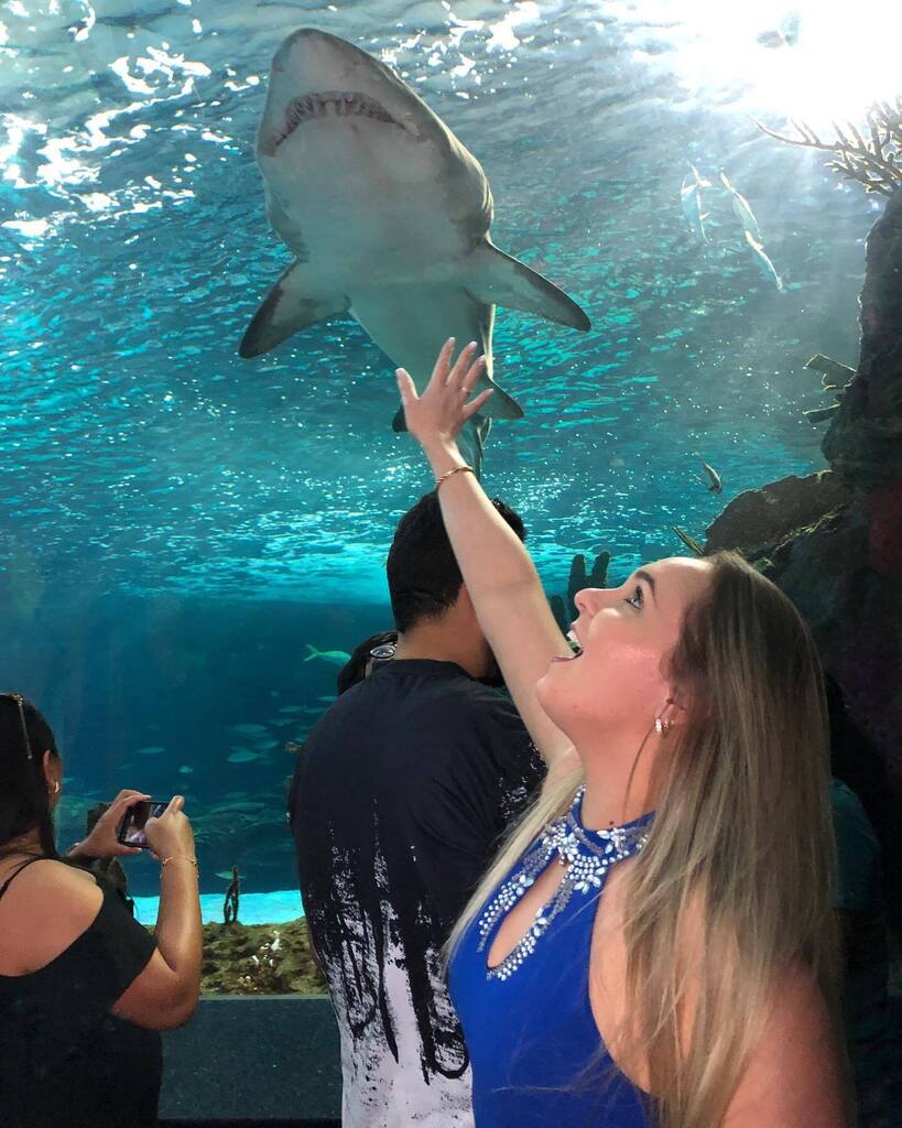 AndrisBatraks's tweet photo. More exciting shots from Ripley’s Aquarium 

#ripleysaquarium https://t.co/lMLOzsvgpN https://t.co/7h3M9VMmwB