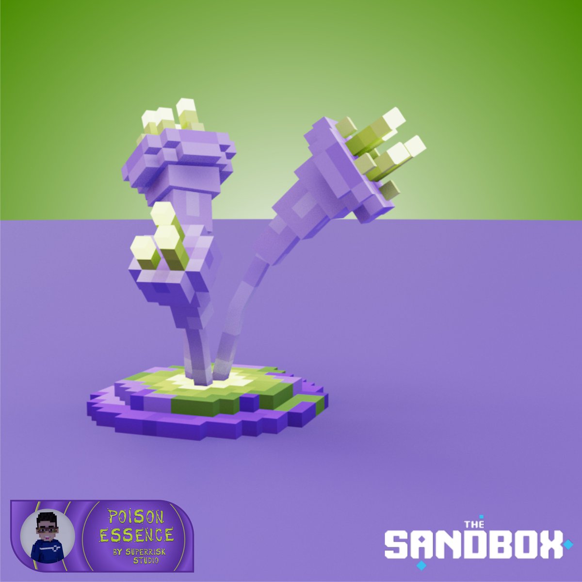 s_superrisk's tweet photo. Venom Flowers ๐ฅ
The second asset of Poison Essence collection.
More details about my work in a few hours on Instagram at Superrisk_Studio (check in bio๐)
#poisonessence
#superriskstudio
#NFTCommunity
@TheSandboxGame https://t.co/aC1gpOi3wx