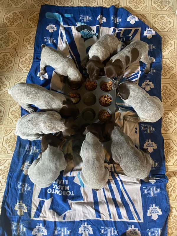 Tony DeBlock tweet media