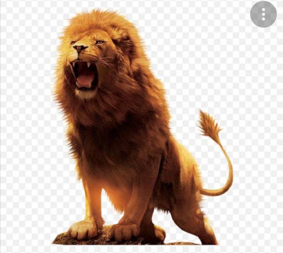 HassanAbbasian's tweet photo. @SaadTar10448648 @AamircheemaEngr @HafsaSi93205337 @Muhamma28922586 @hassaan_sudozai @MaryamNSharif @ikhtiarwali @Usman98643777 @saadsalmankhan1 @AhmadJawadBTH @AdeelAsifPk @Ssabbasi9 @Shoki_Hayat @DanishGoose @Aadiiroy2 @Atifrauf79 @KhurramBhatti01 Yessss
#Sher_Coming_Back https://t.co/bc4elWyocp