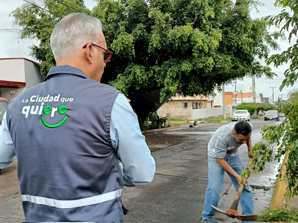 MiguelZarateH's tweet photo. Hoy tocó talacha con el equipo de Arbolado Urbano.

Atendiendo la petición de los vecinos de Jardines Alcalde, que se comprometieron a cuidar y regar cada árbol, el equipo de @arboristgdl realizó la sustitución de ejemplares por Primaveras en los camellones de la colonia. https://t.co/xxXnA1SzYP