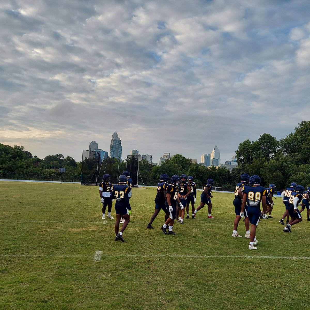 Golden Bulls tweet media