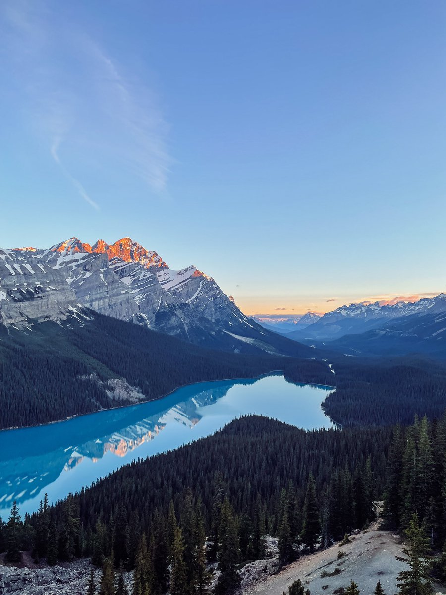 FairmontCLL's tweet photo. Peyto Lake is definitely one of the most precious gems of the Canadian Rockies, only few miles away from Lake Louise.💎 

#LakeLouise #ThisIsCanada #AdventureHere https://t.co/WNUcZ3MGRo
