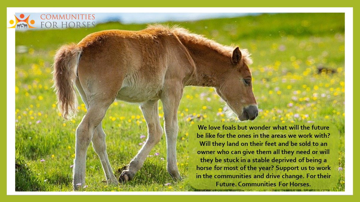 Community4Horse's tweet photo. https://t.co/5DdRMr4qix