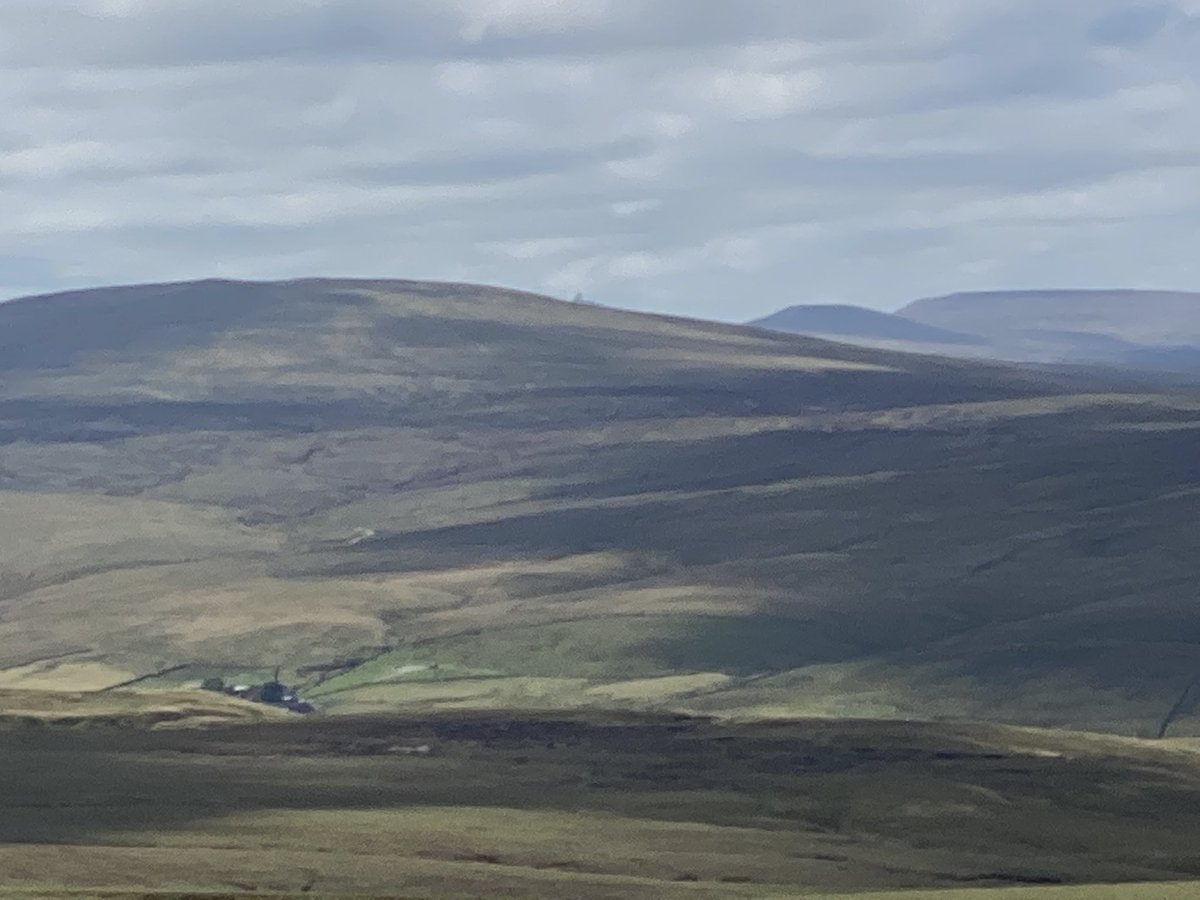 lynnslabs's tweet photo. Not a bad view from the office today - looking down at home #grouse #shooting #teesdale #fieldsports #northpennines https://t.co/AGfFS153mX
