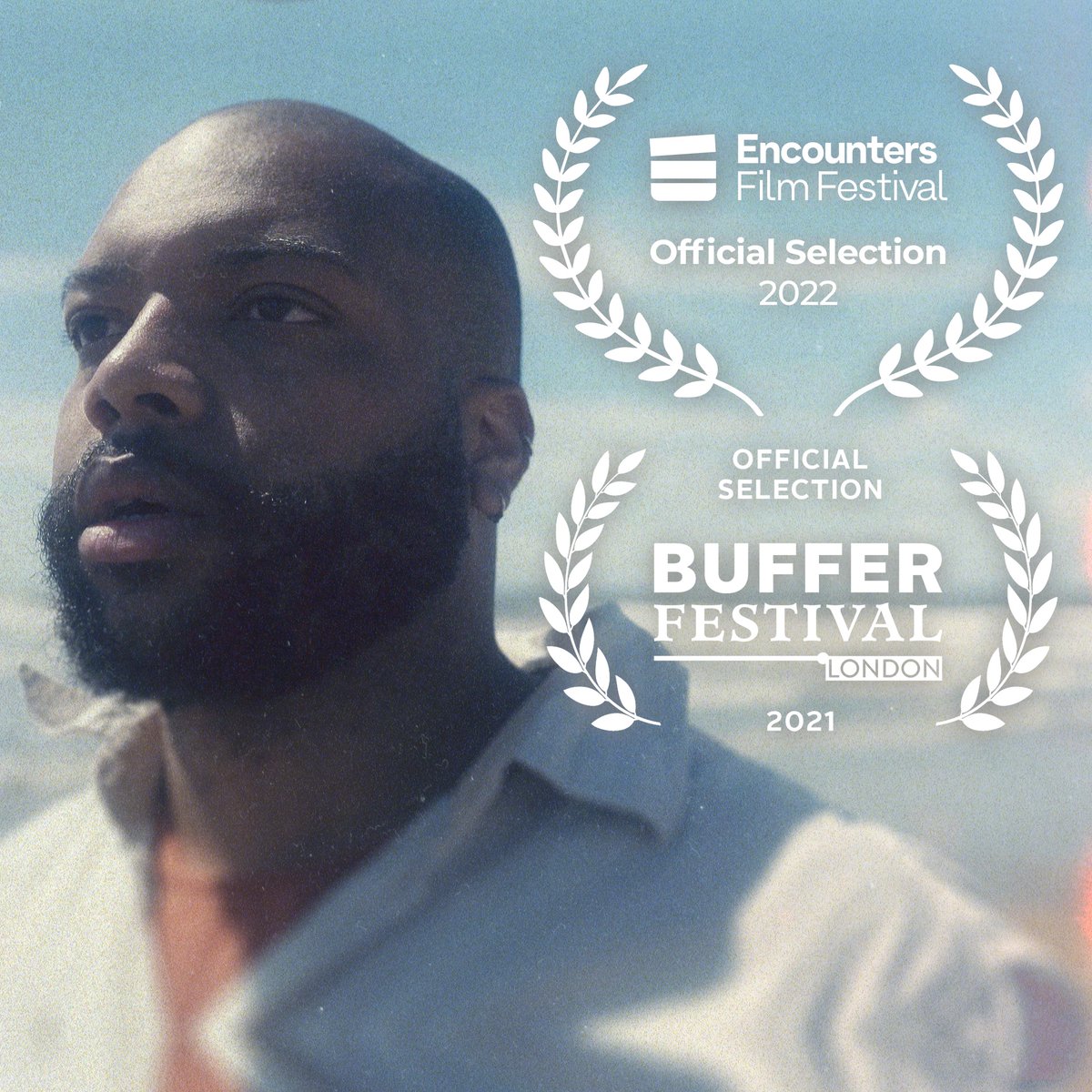 sam angl tweet media