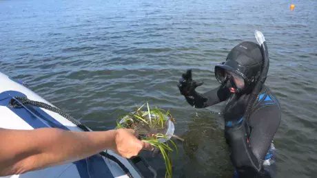 CBC Nova Scotia tweet media