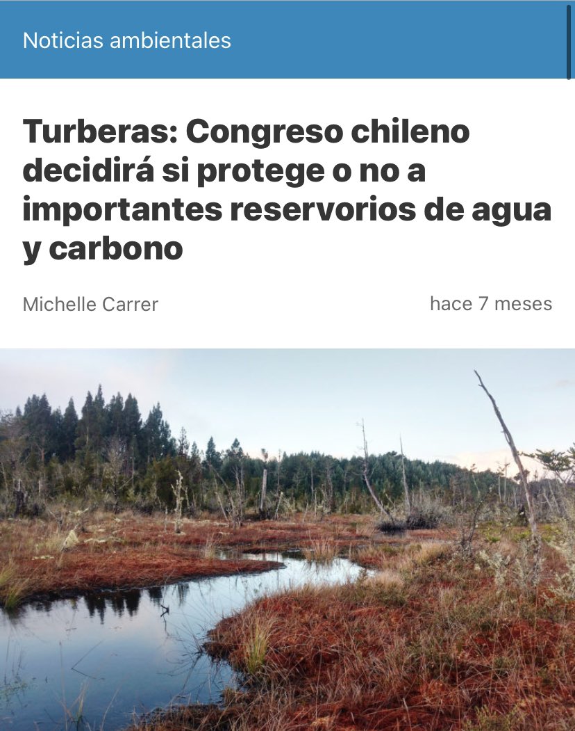 4. Ya que con ello se estaría respaldando una actividad que acaba con un ecosistema clave para la adaptación ante la crisis climática y a la vez provocando severos impactos en el ciclo hídrico.
 <a href="/WCS_Chile/">WCS Chile</a> <a href="/RedHumedalesCH/">Red Plurinacional Humedales de Chile</a> <a href="/CR2_uchile/">Centro de Ciencia del Clima y la Resiliencia CR2</a>