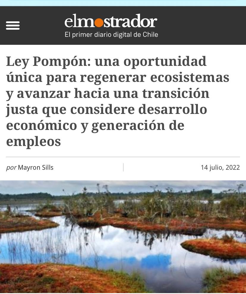 organizaciones socioambientales y científicas instamos al <a href="/GobiernodeChile/">Gobierno de Chile</a> y parlamento a estar a la altura del contexto climático/ecológico y avanzar en soluciones basadas en la naturaleza, mediante PROHIBICIÓN de extracción de pompón/turba, con transición justa.
@gabrielboric