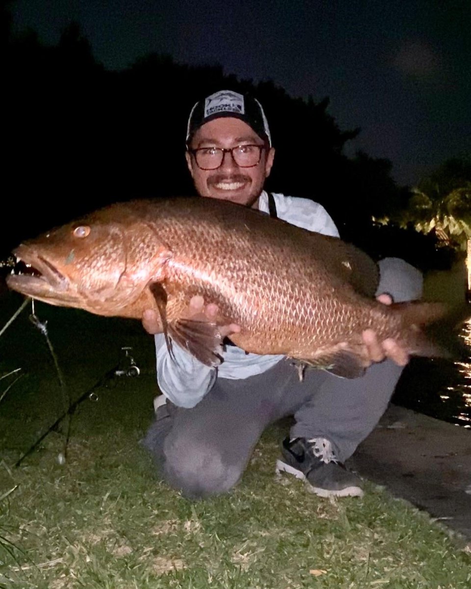 ReturnEmRight's tweet image. Have you ever caught a cubera snapper from shore? Guess the weight on this one that our team member caught in a river in Florida! #ReturnEmRight #EarnAnotherFight #CuberaSnapper @KeepFLFishing