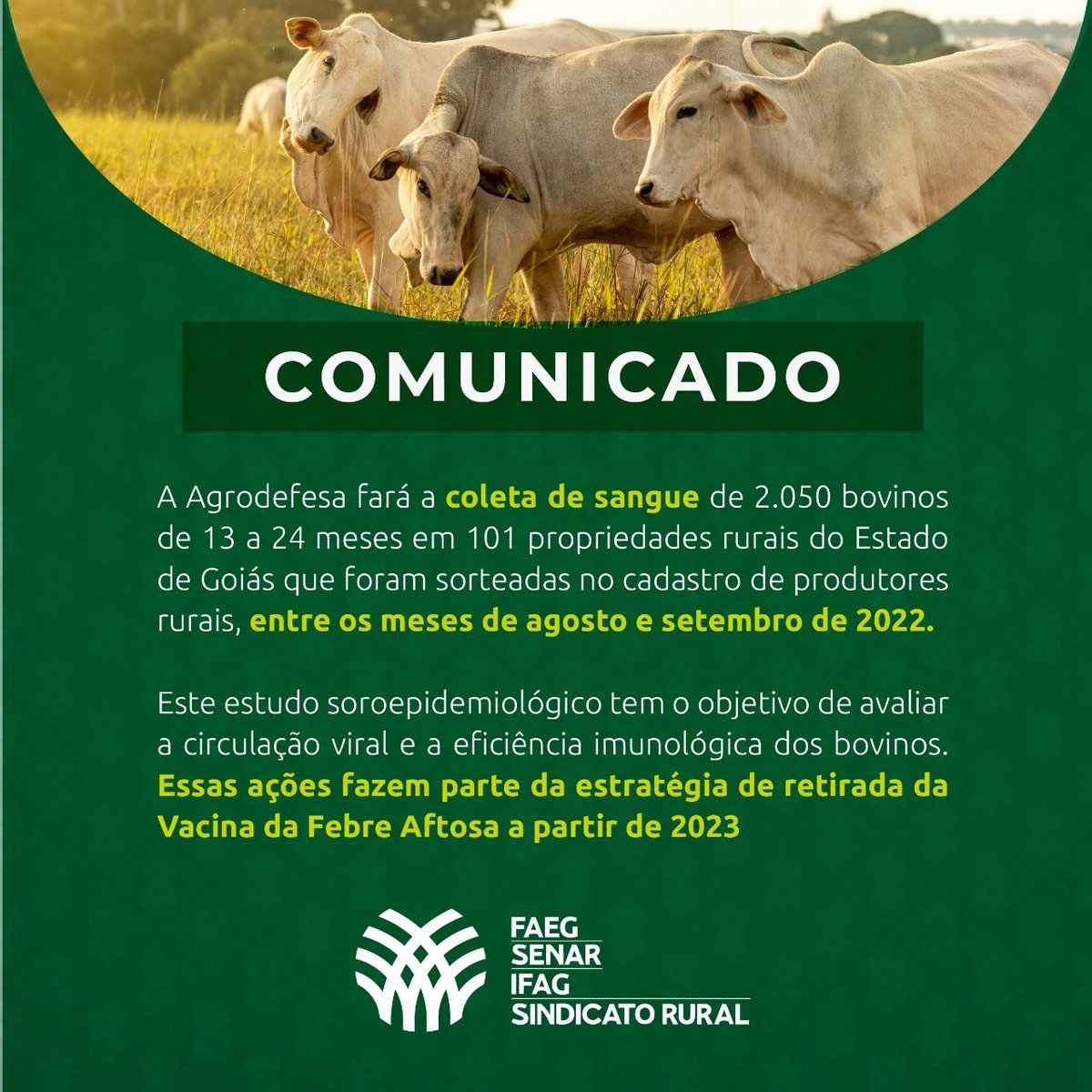 SistemaFaeg's tweet photo. Atenção, produtor rural, nós temos um recado importante para você!

#sistemafaegaqui #senaraqui #ifagaqui #sindicatoruralaqui #pecuária #agrodefesa https://t.co/Sf4qhRiYyB