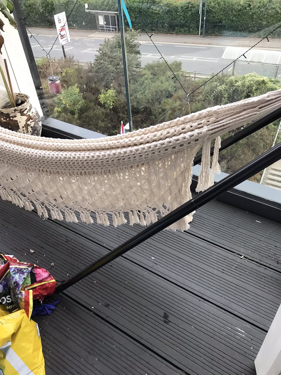 sally lester tweet media