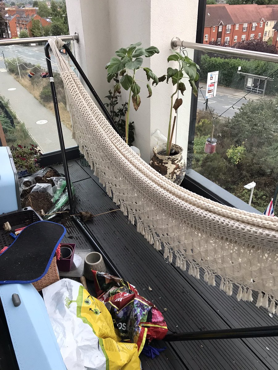 sally lester tweet media