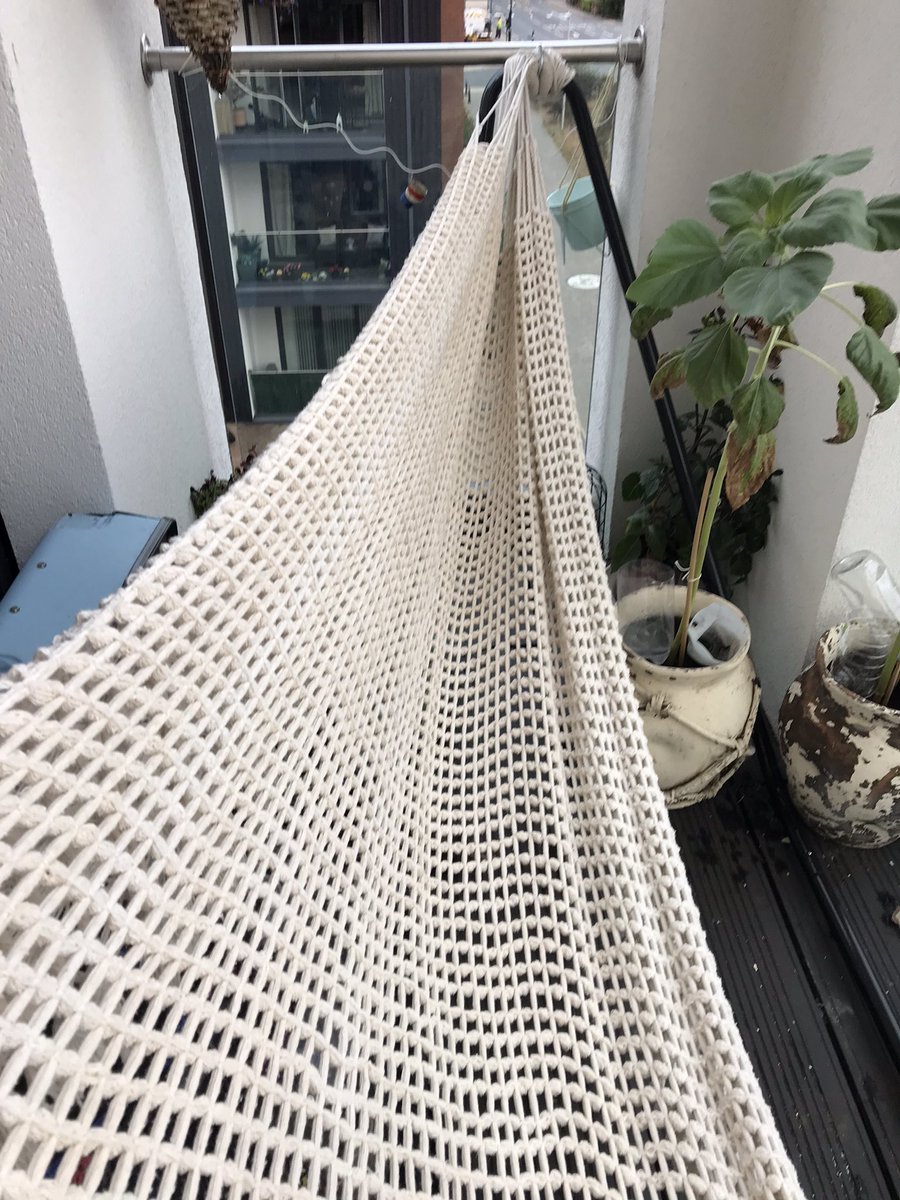 sally lester tweet media