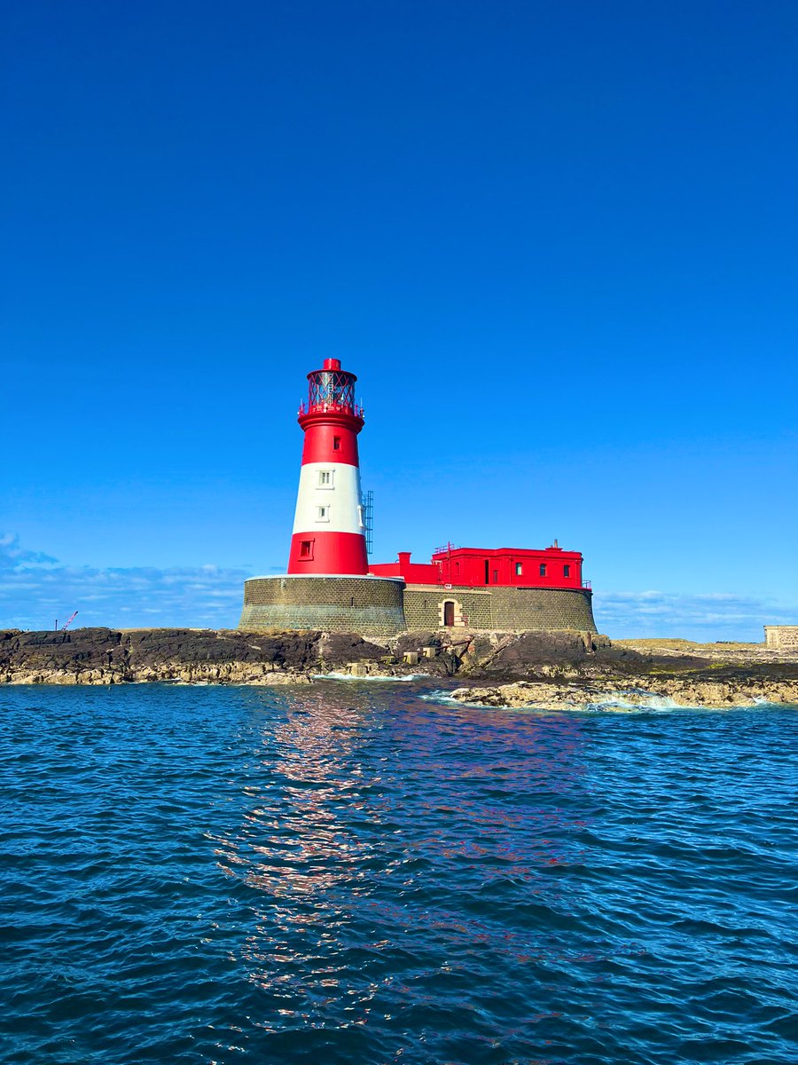 Fantastic trip out to the Farne Islands today 😎