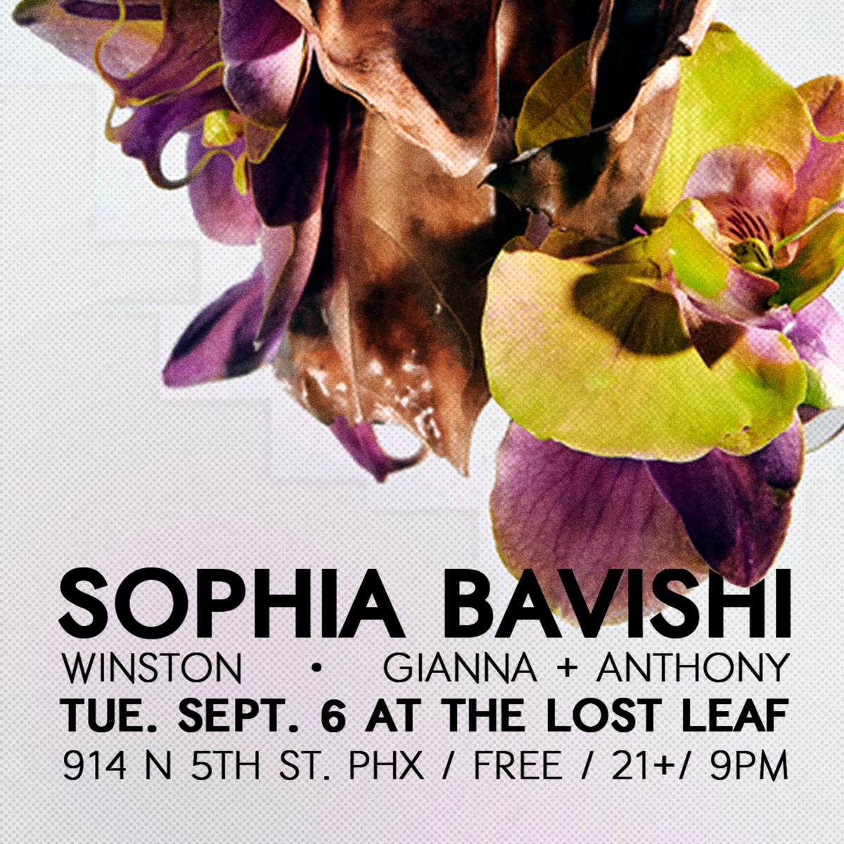 TheLostLeaf's tweet photo. COMING UP!
Tuesday September 6th
Sophia Bavishi returns to the leaf with support from Winston, Gianna + Anthony.
9pm/ FREE / 21+
#originalmusic #independentartist #arizonamusic #musicscene #azartist #thelostleaf #lostleafphx #lostleafaz #dtphx #downtownphoenix https://t.co/he66DA29UK