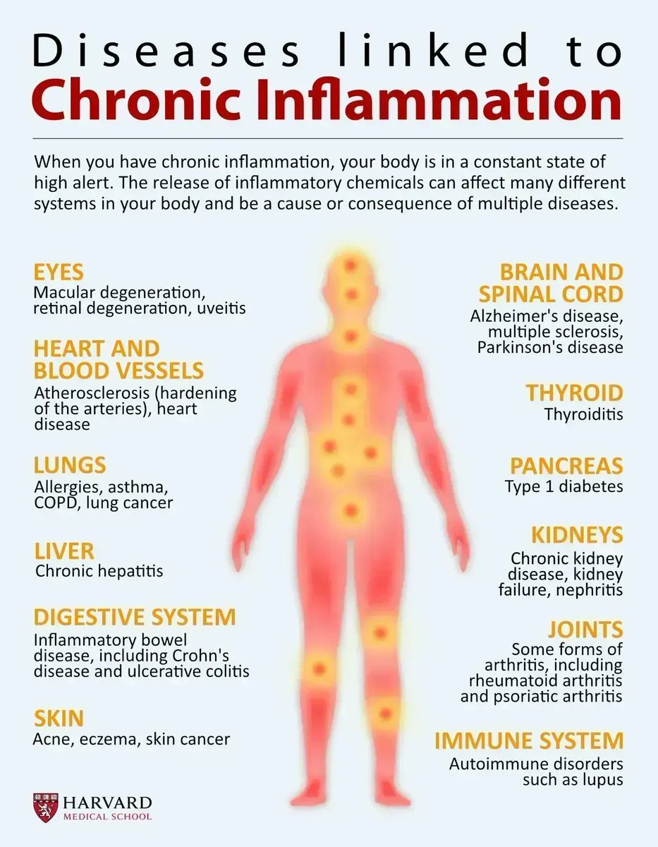 Managing your diet and lifestyle are the two best ways to keep chronic #inflammation under control: bit.ly/3PlPwrj #HarvardHealth