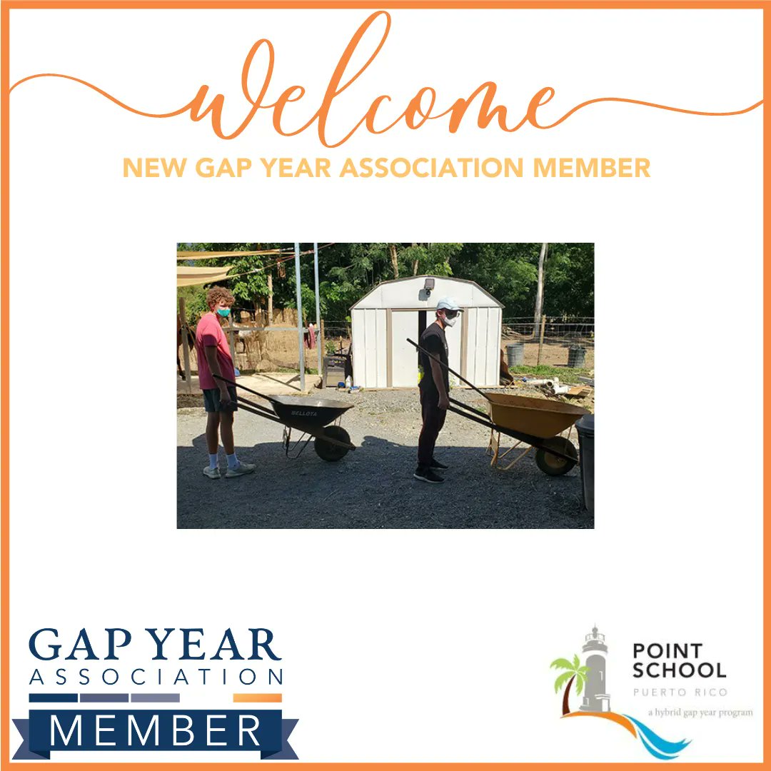 Gap Year tweet media