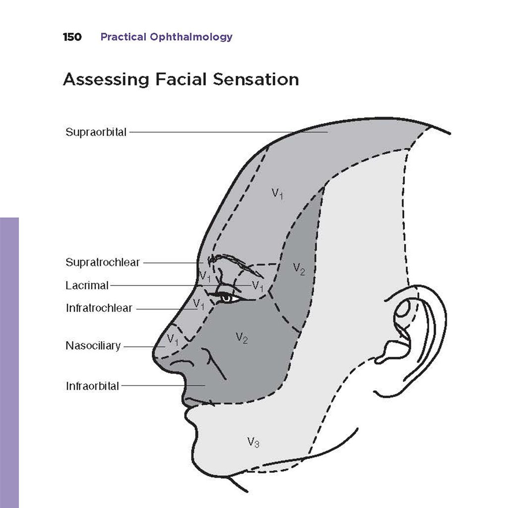 aao_ophth's tweet photo. Help your residents discover the steps in assessing #FacialNerve function and more. Practical #Ophthalmology will help residents transition to becoming skilled practitioners. https://t.co/M3DIm8Jteo https://t.co/bK9MXvt3Ng
