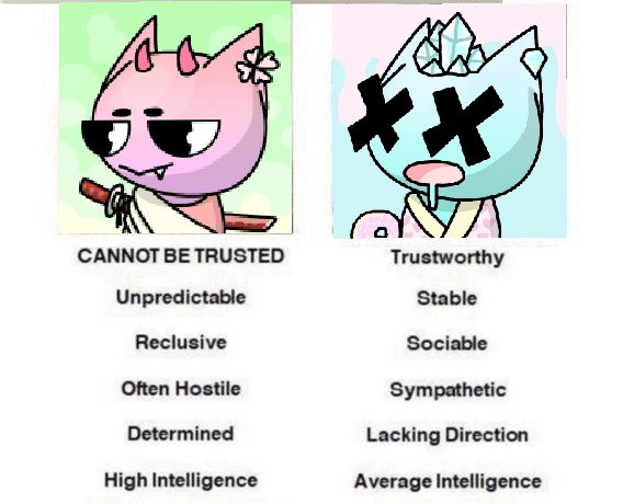 ForeverFelines tweet media