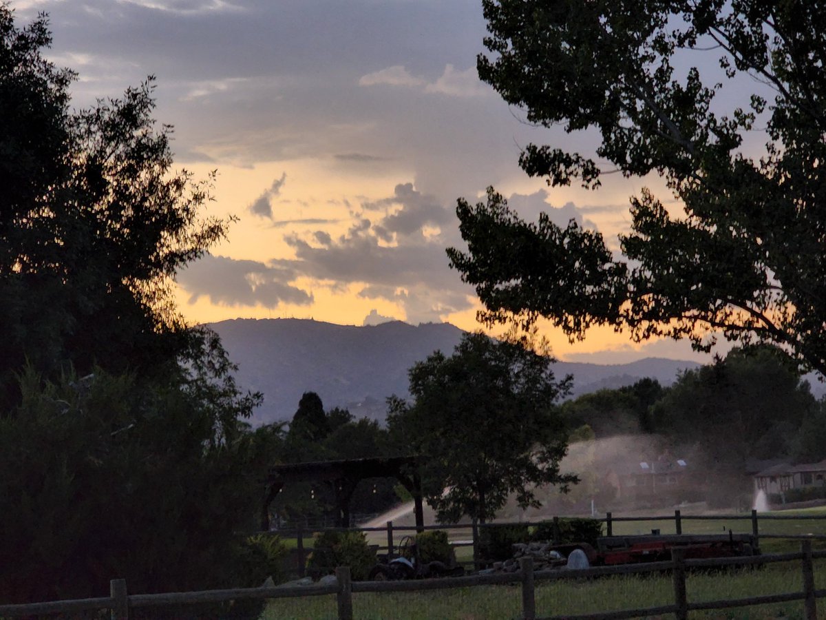 Tracy Scott Kelly tweet media