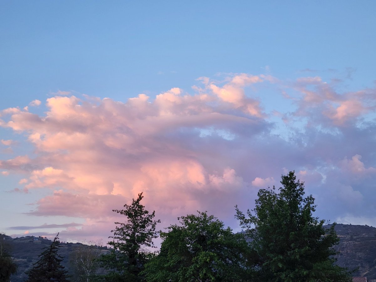 Tracy Scott Kelly tweet media