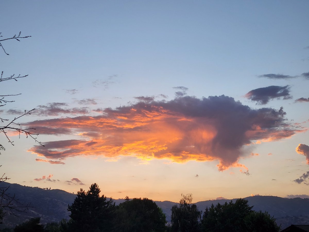 Tracy Scott Kelly tweet media