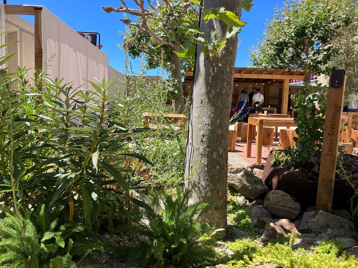 mak-'amham/Cafe Ohlone tweet media