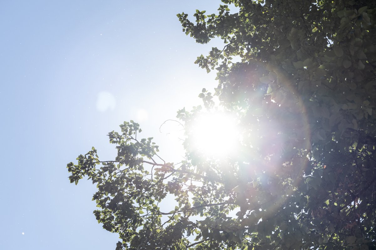 multco's tweet photo. (1/4) Info about cooling spaces👇🏽 
❄️Most @multcolib sites are open regular 10am-6pm hours, Wednesday and Thursday. 5 sites are open noon-8pm:
-Belmont: 1038 SE César E. Chávez
-Gresham: 385 NW Miller
-Hillsdale: 1525 SW Sunset
-Hollywood: 4040 NE Tillamook
-Midland: 805 SE 122nd https://t.co/MBysTTEeQ7