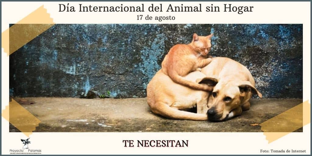 mayedps's tweet photo. Los animales también agradecen tu cariño. Si aun no tienes una mascota aprovecha hoy es el día internacional del animal son hogar,ellos necesitan nuestra protección. #BienestarAnimal.@saludsspiritus @AvellaRivero @SanctiSpiritus1 https://t.co/AaTmXFU7Rg