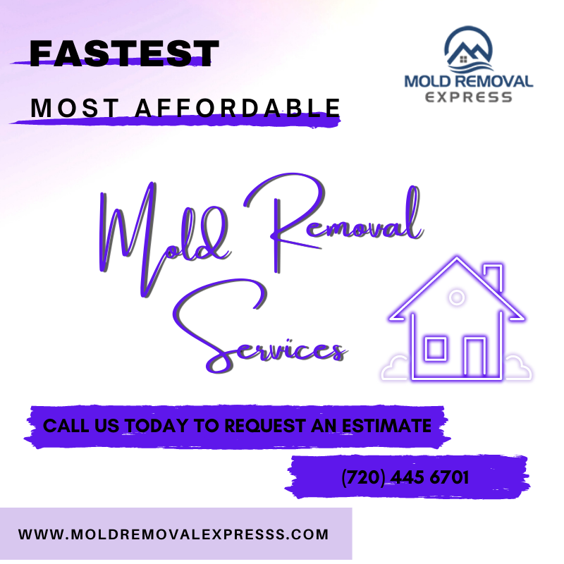 MoldRemovalXP's tweet photo. Mold Removal Express is specialized in home mold removal needs. We make mold remediation fast, simple and cost effective. Done in 24 hours.
Call us today at (720) 445 6701 for further consultations.

#colorado #denver #boulder #fortcollins #coloradosprings #moldremovalexpress https://t.co/a8e151iTLW