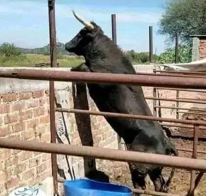 Y ahí estaba yo, creyendo en mi relación a distancia