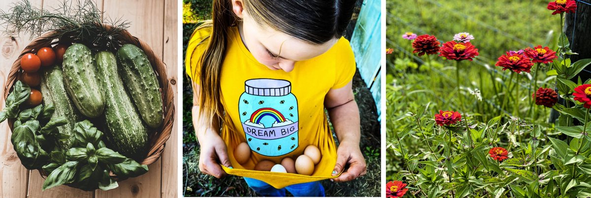 Hungry for a Better Life gofund.me/92805a54
  
#foodsecurity #agriculture #food #sustainability #community #covid #endhunger #farming #crowdfunding #crowdsourcing #donate #donors #funding #philanthropy #charity #donate #fundraising #giveback #community #socialgood #volunteer