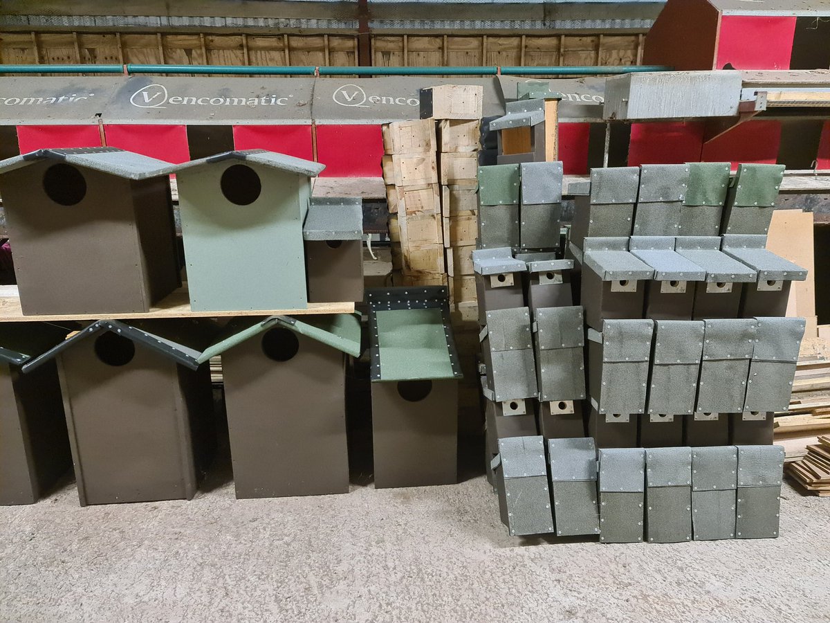 50 small Tit boxes and 9 Little Owl nest boxes complete and awaiting 3 coats of paint. Still have enough materials for another 5 little Owl nest boxes which I intend to complete by the weekend.

projectnestbox.co.uk