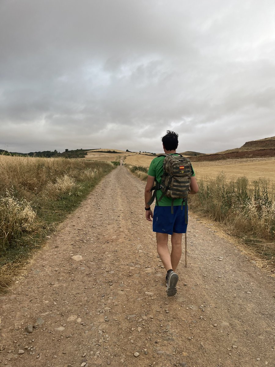 GuzmanGomezMdC's tweet photo. En los preámbulos de la @medinarenacenti en #medinadelcampo conjugamos #patrimonio #musica #historia y #CaminodeSantiago con la colaboración de @jcyl @CyLesVida #jacobeo #renacentista https://t.co/OW9zgtQhD8