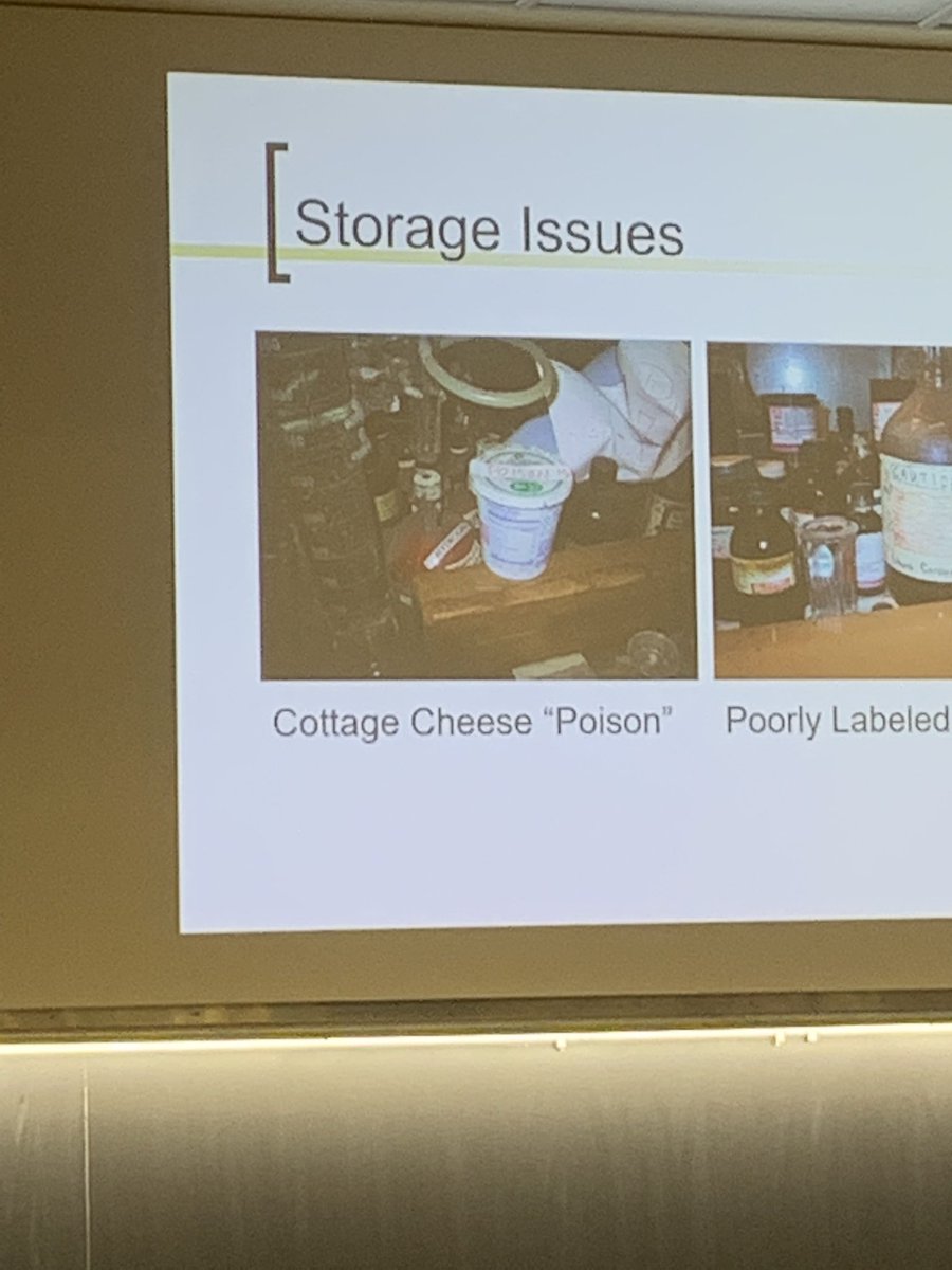 peytatoes's tweet photo. cant stop thinking about the cottage cheese poison from grad school orientation (the message was “pls dont do this”) https://t.co/QJYsZwKrSl