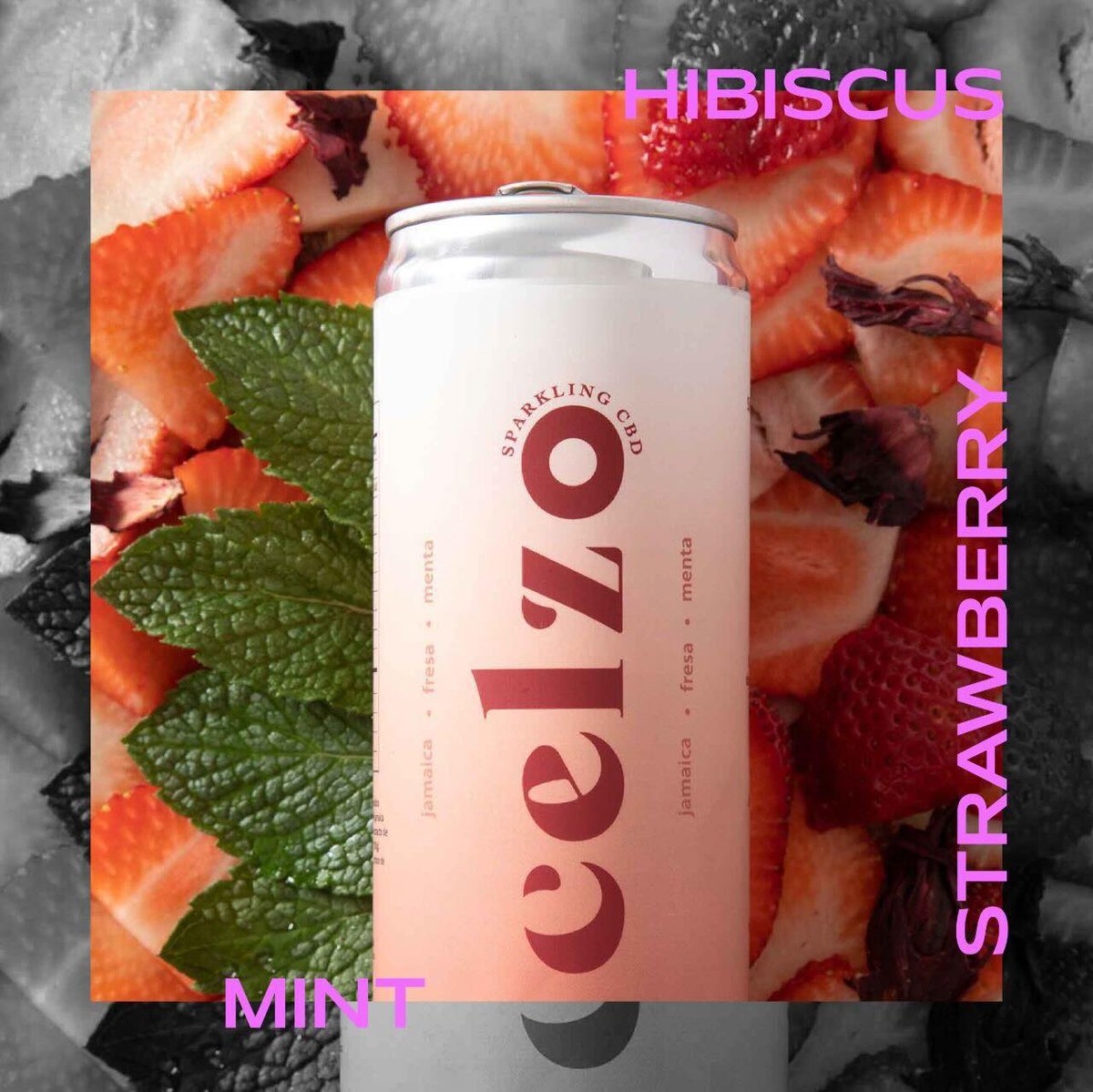 Jamaica has a very special place in my heart, it makes me feel Mexican, it reminds me of my family and I also mix it with everything! Strawberry, Hibiscus, and Mint is the perfect blend of Mexico, Cuba, and the United States. Celzo SHM is the most refreshing experience
#cbddrinks