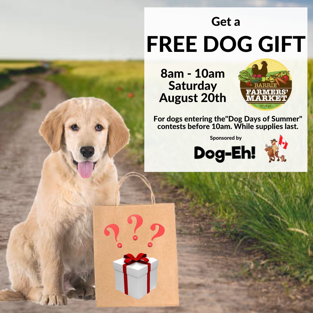 DogEhOfficial's tweet photo. We can't wait to see everyone at @BarrieFarmersM this Saturday 😁👩🌾🚜🐶
#farmersmarket #barrie #barriefarmersmarket #feedlocal #eatlocalgrown #dogmarket #dogcontest #dogcontests #bringyourdog #dogfriendly #barriedogs #torontodogs #dogeh https://t.co/iAhWti37AD