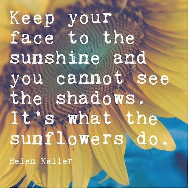 Sunflower tweet media
