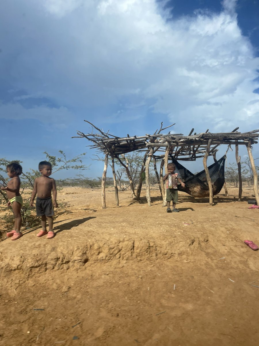 Susana De León tweet media