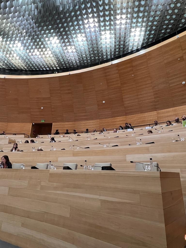 El oficialismo se negó a tratar hoy el tema del #Neonatal en el recinto. Hoy debía presentarse aquí el Ministro y no vino. El tema más doloroso y más importante para los cordobeses en mucho tiempo no forma parte de la agenda de este gobierno provincial.