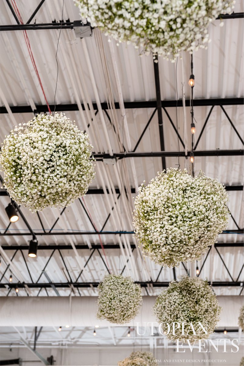 Utopian_Event's tweet photo. These suspending flower balls were used over the aisle. #design #ceremony #reception #flowers #fresh #flower #candle #candles #votives #chairs #plates #linens #chaircaps #floral #green #white #Suspended4th #suspending #black #factory #factories https://t.co/3xeeu4uE64