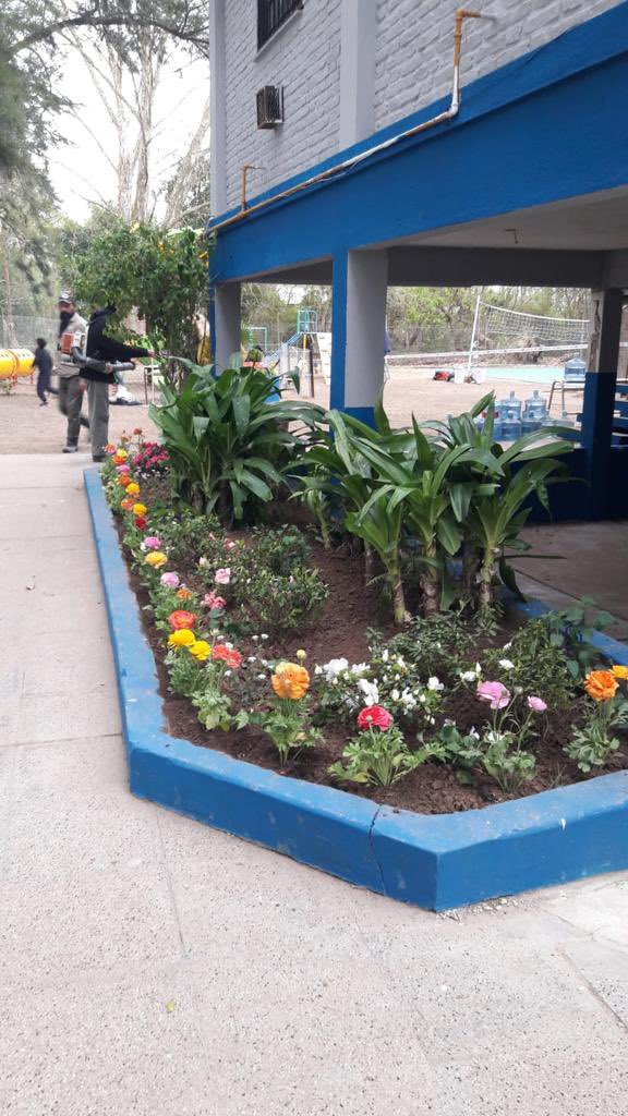 TigreSPublicos's tweet photo. INAUGURAMOS UN NUEVO SECTOR DE JUEGOS EN EL JARDÍN 928

Ya está todo listo para la inauguración del sector de juegos en el Jardín 928 en el Delta de Tigre. ¡Los esperamos mañana!
#TigreEsMiVida https://t.co/Qgu9TJIBJo