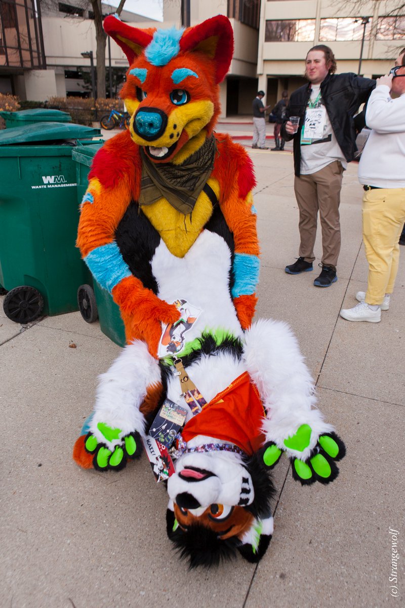 Strangewolf (@strange99wolf) on Twitter photo Deep down below... (Iโฒm far away)
๐1 = <a href="/mystDingo/">Mystguided</a>
๐2 = <a href="/kleekaiihusky/">KLEE KAII ๐ EDC, MP</a> Deep down below... (Iโฒm far away)
๐1 = <a href="/mystDingo/">Mystguided</a>
๐2 = <a href="/kleekaiihusky/">KLEE KAII ๐ EDC, MP</a>