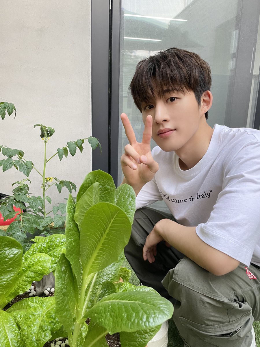 nidotory's tweet photo. universe น้องฮันบินเปิดแล้ว รูปในแอพน่ารักมากกก💖🥺 @shxx131bi131 https://t.co/tUxdGIIJUM