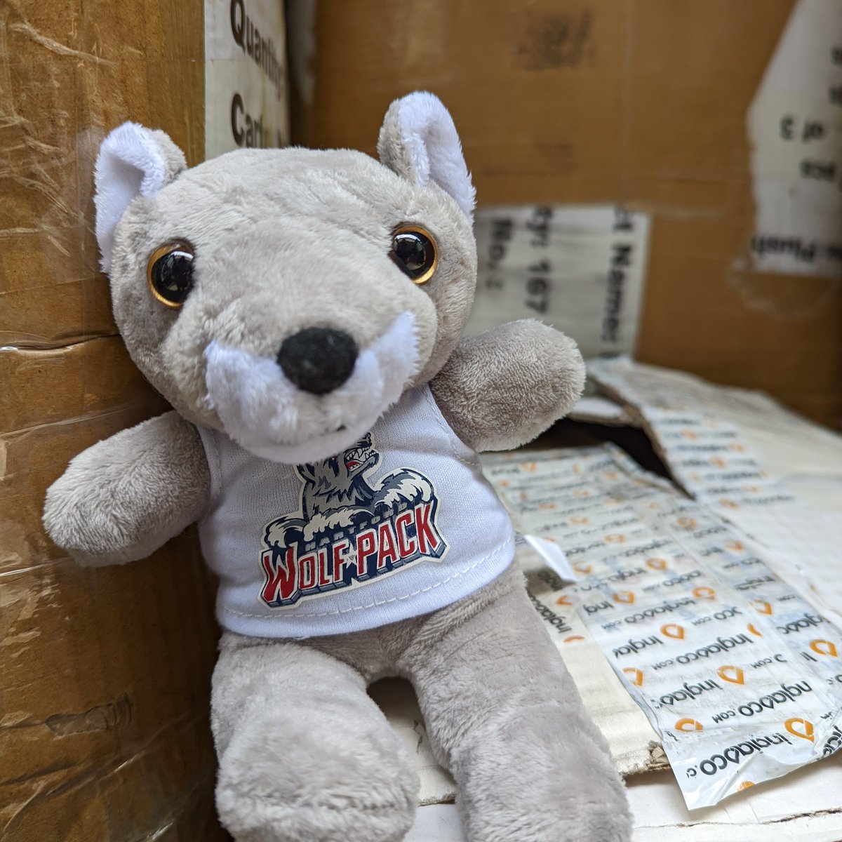 Don't forget to gear up for this season 🏒🥅 Check us out at hartfordwolfpackshop.com! Everything on sale all summer long! ⛱️

#merchdrop #ahl #hartford #wolfpack #hockey